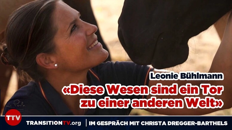 «Diese Wesen sind ein Tor zu einer anderen Welt» La Perla - 200 Pferde ziehen um